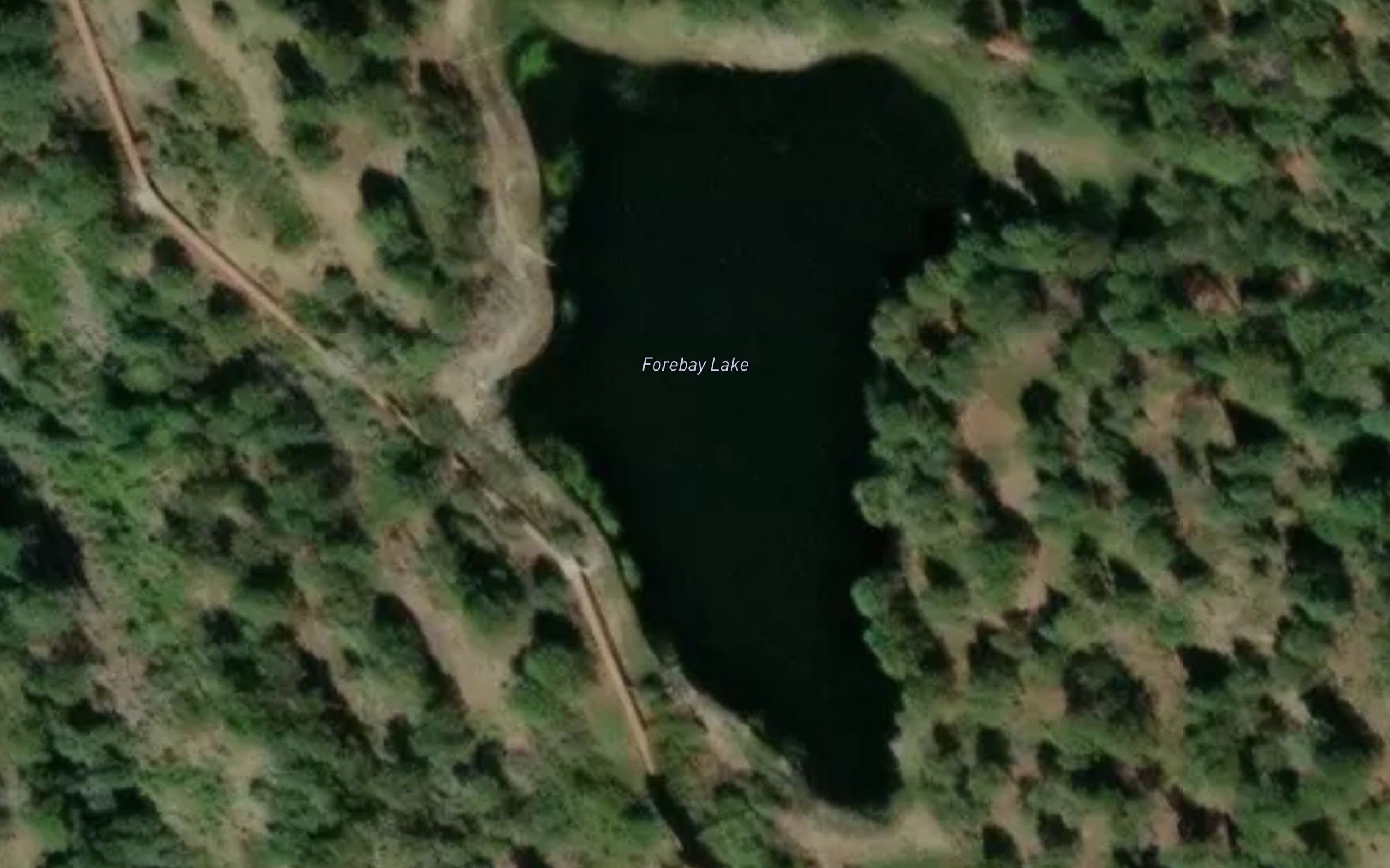 Forebay Lake