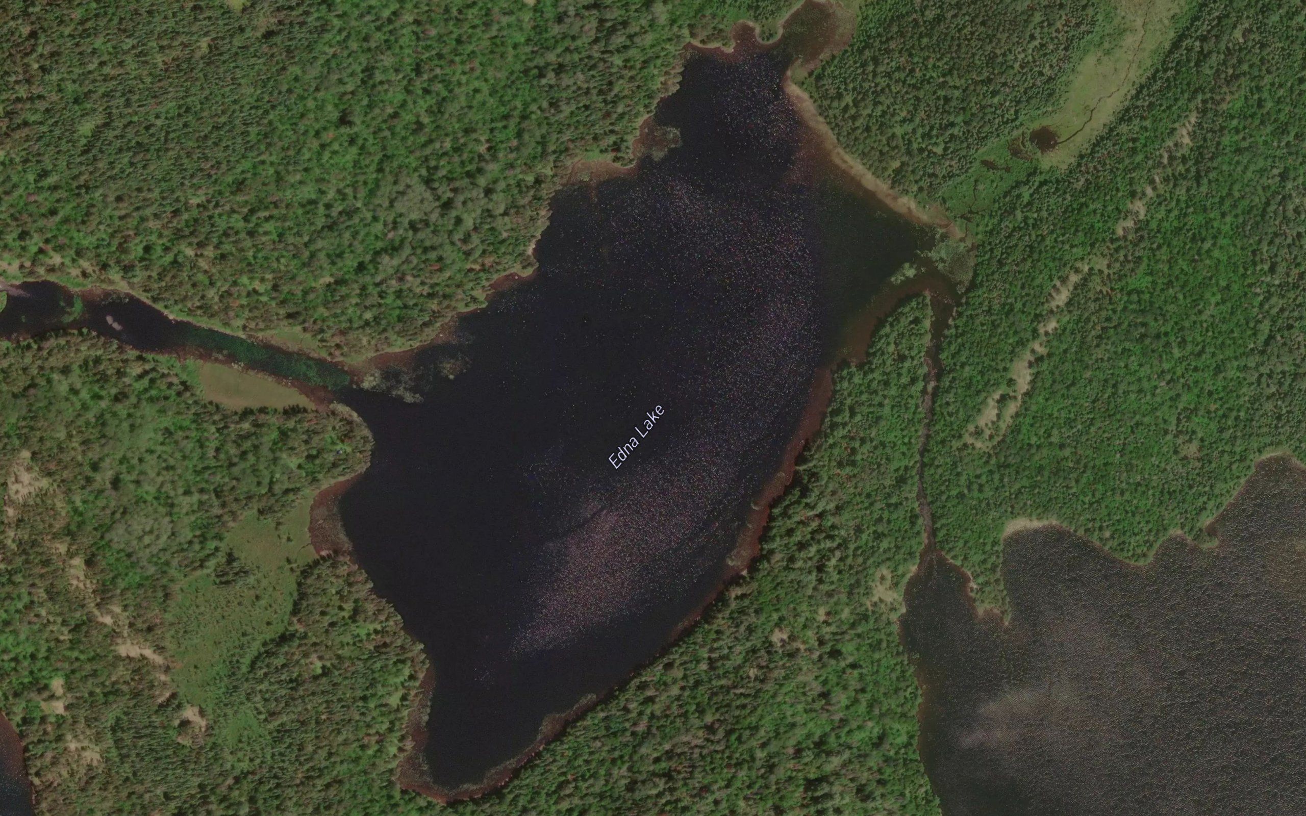 Edna Lake