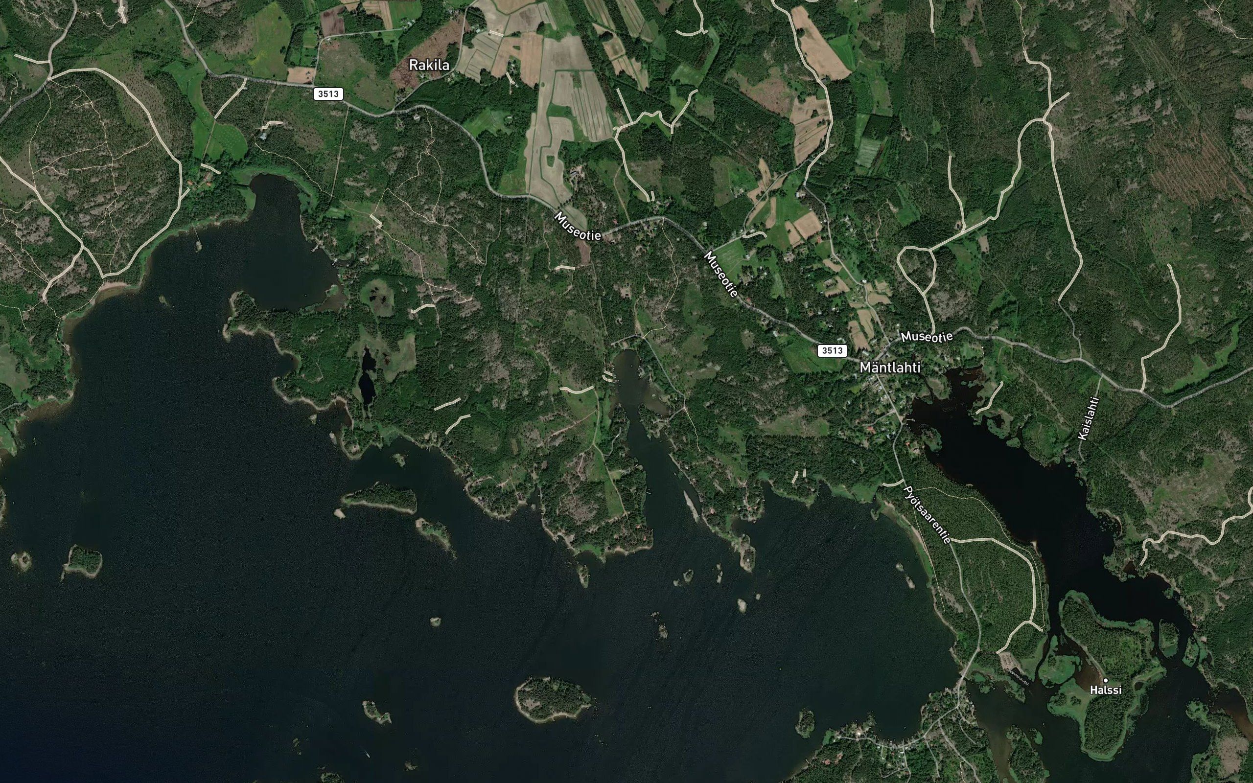Reiviikinlahti