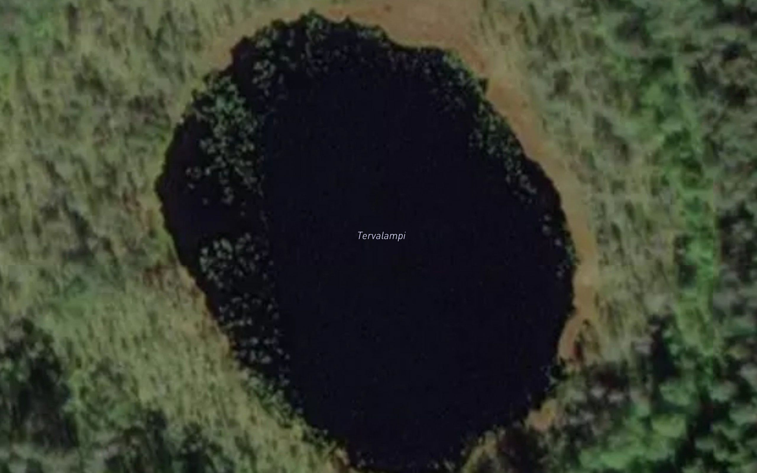 Tervalampi