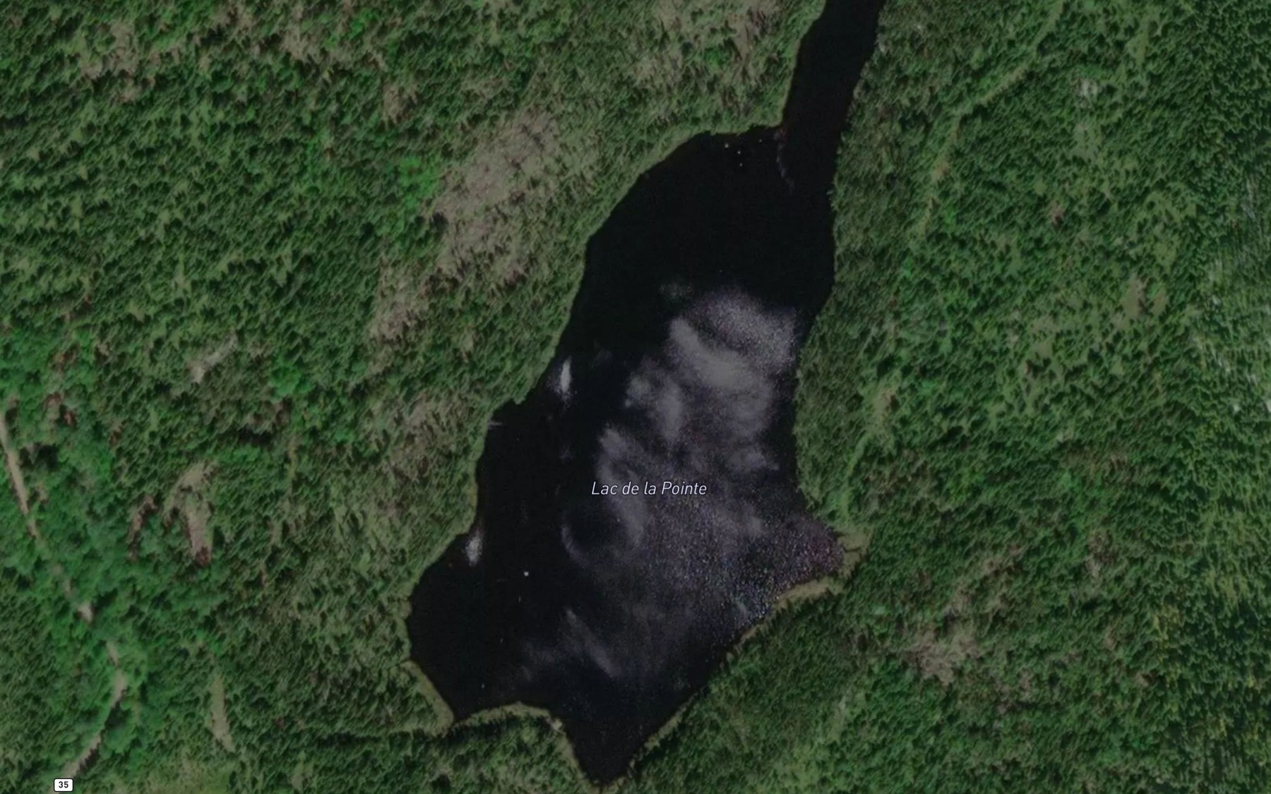 Satellite map of the Lac de la Pointe