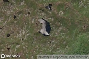 Bardstjorna