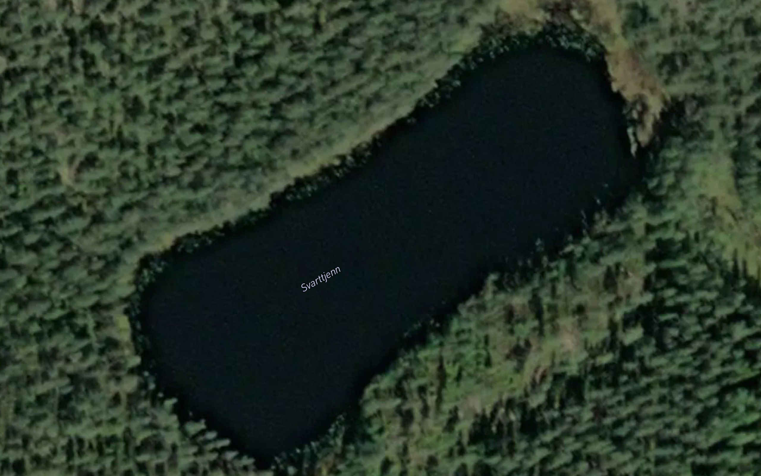 Svarttjern