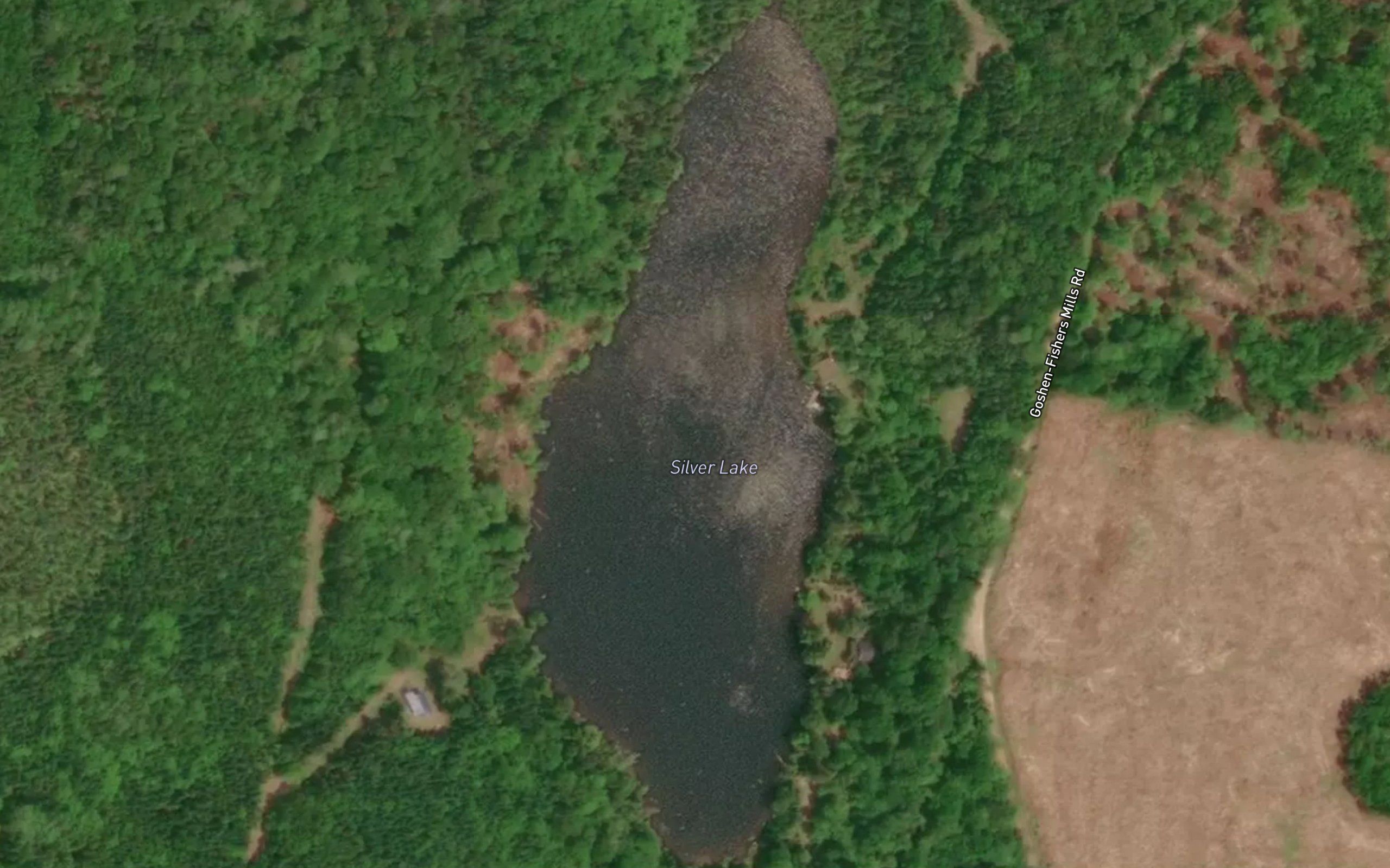 Silver Lake