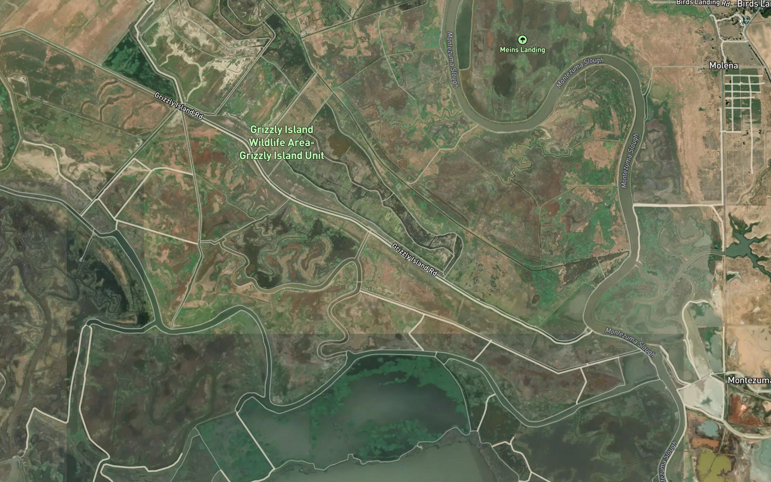 Grizzly Slough