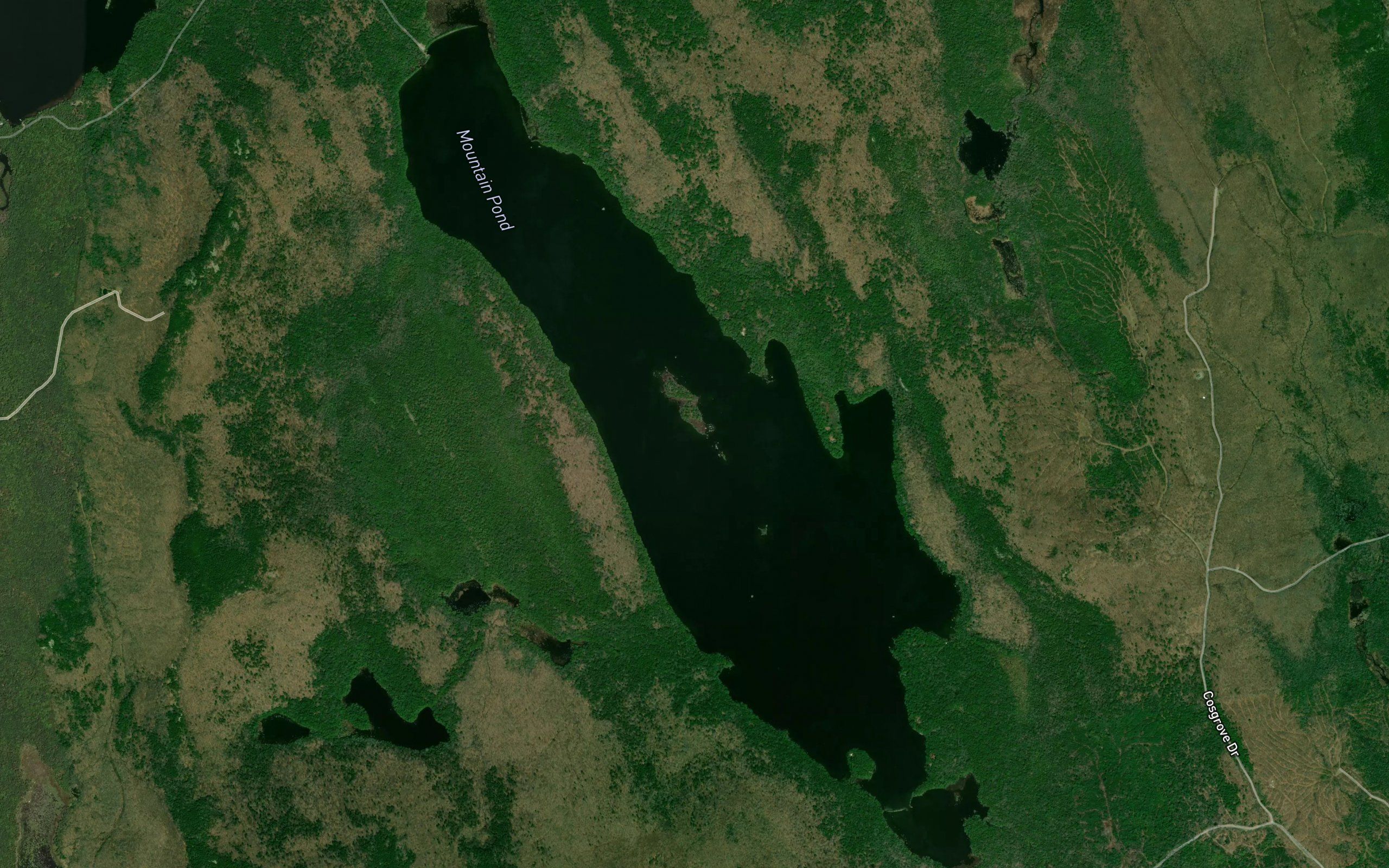 Mountain Pond