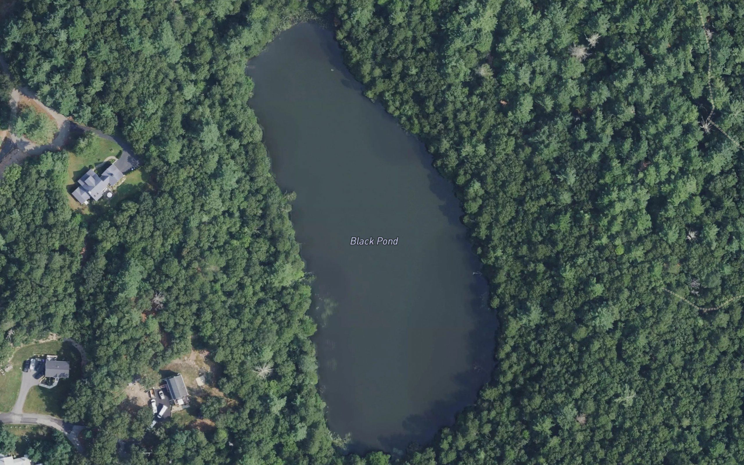 Black Pond
