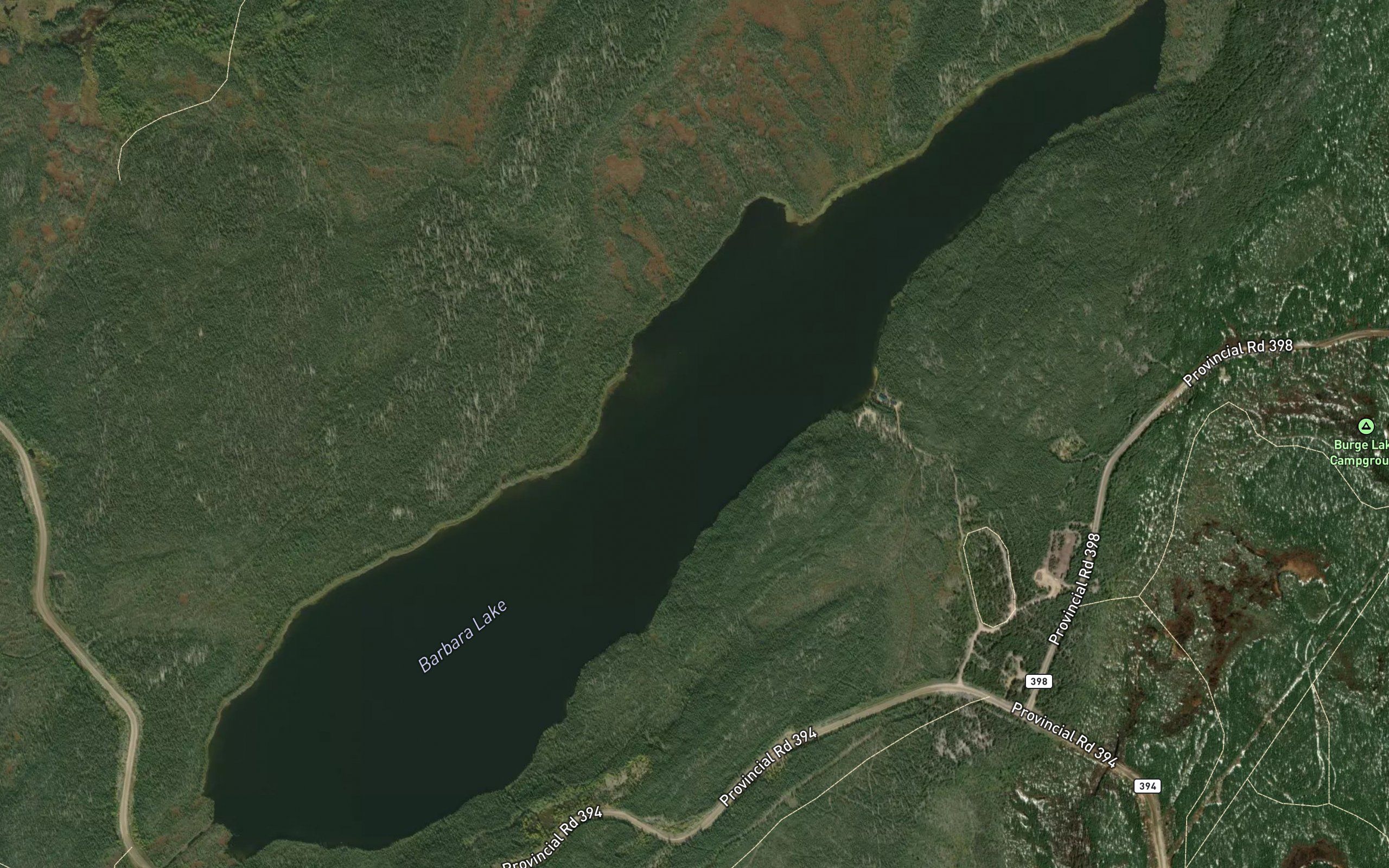 Barbara Lake