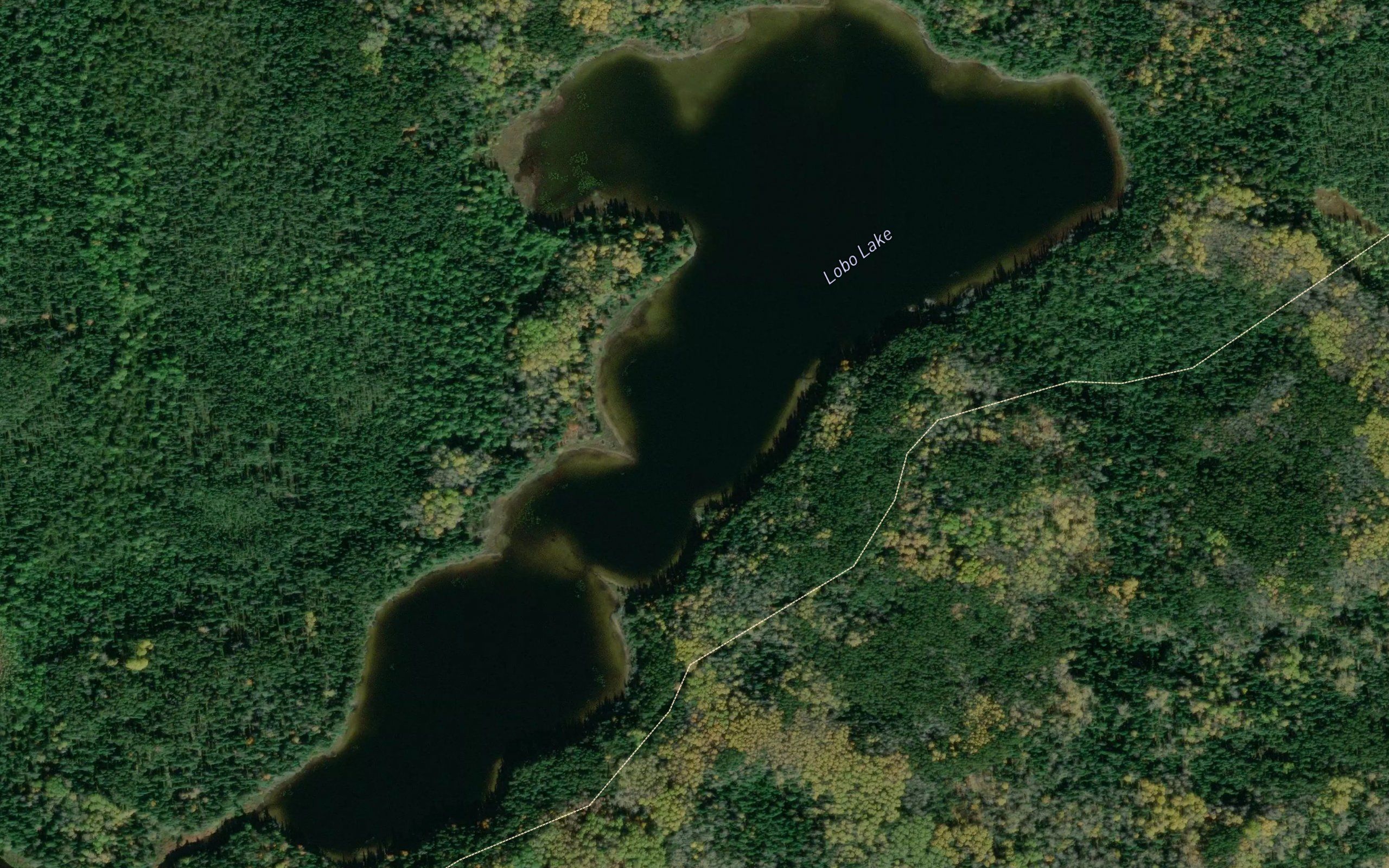 Lobo Lake