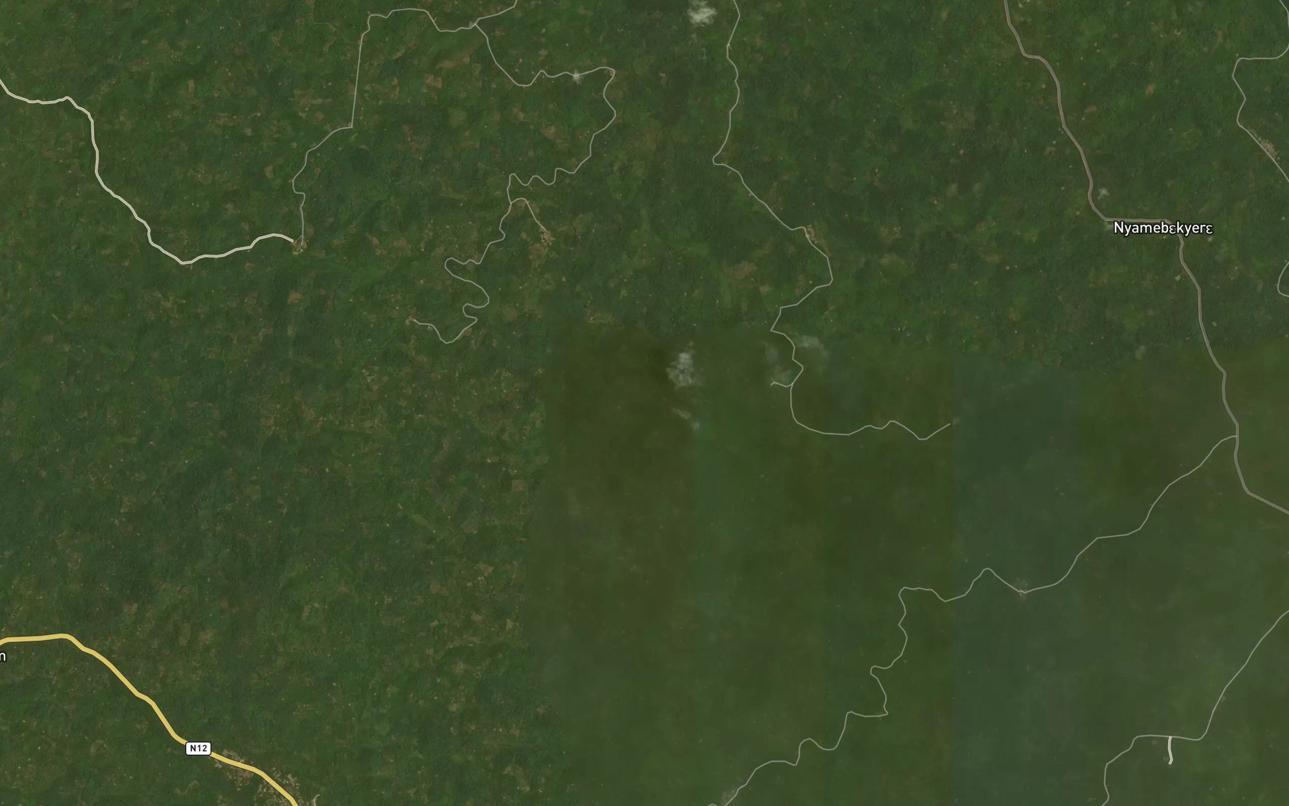Afosua