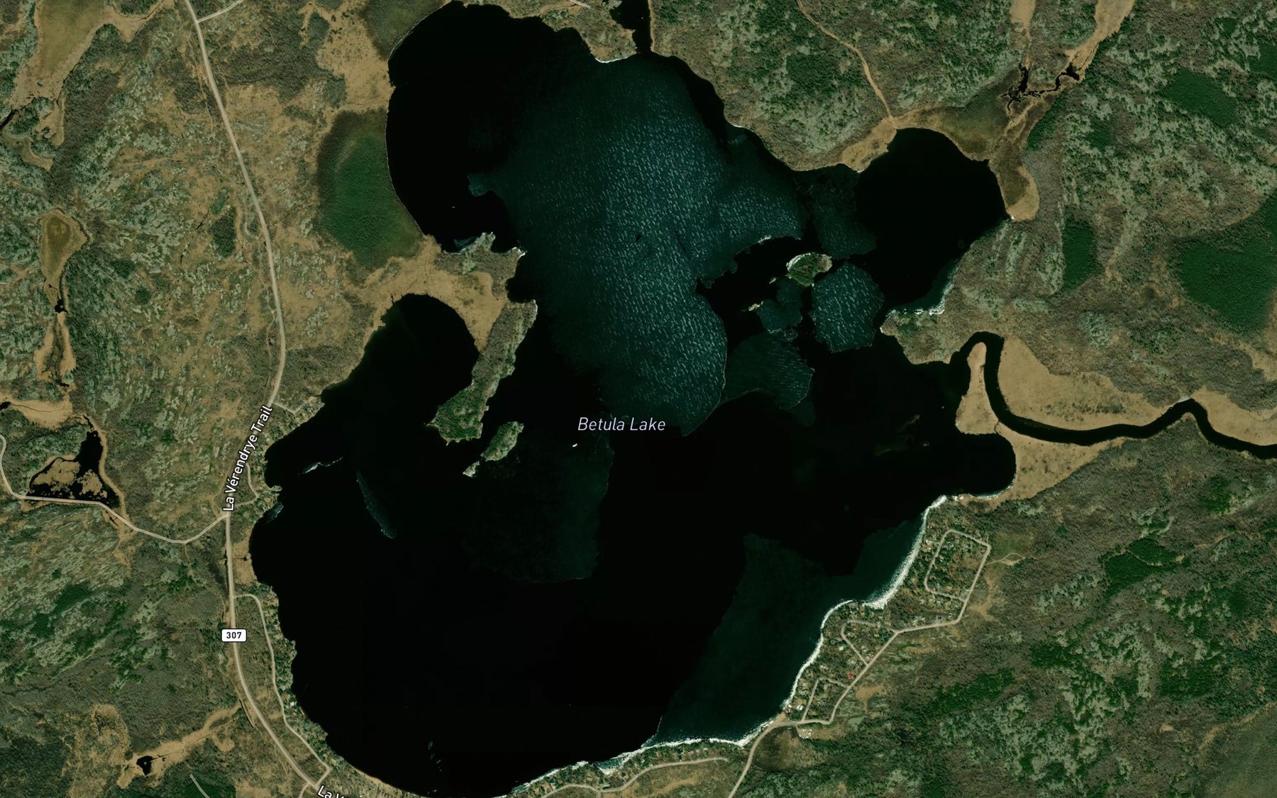 Satellite map of the Betula Lake