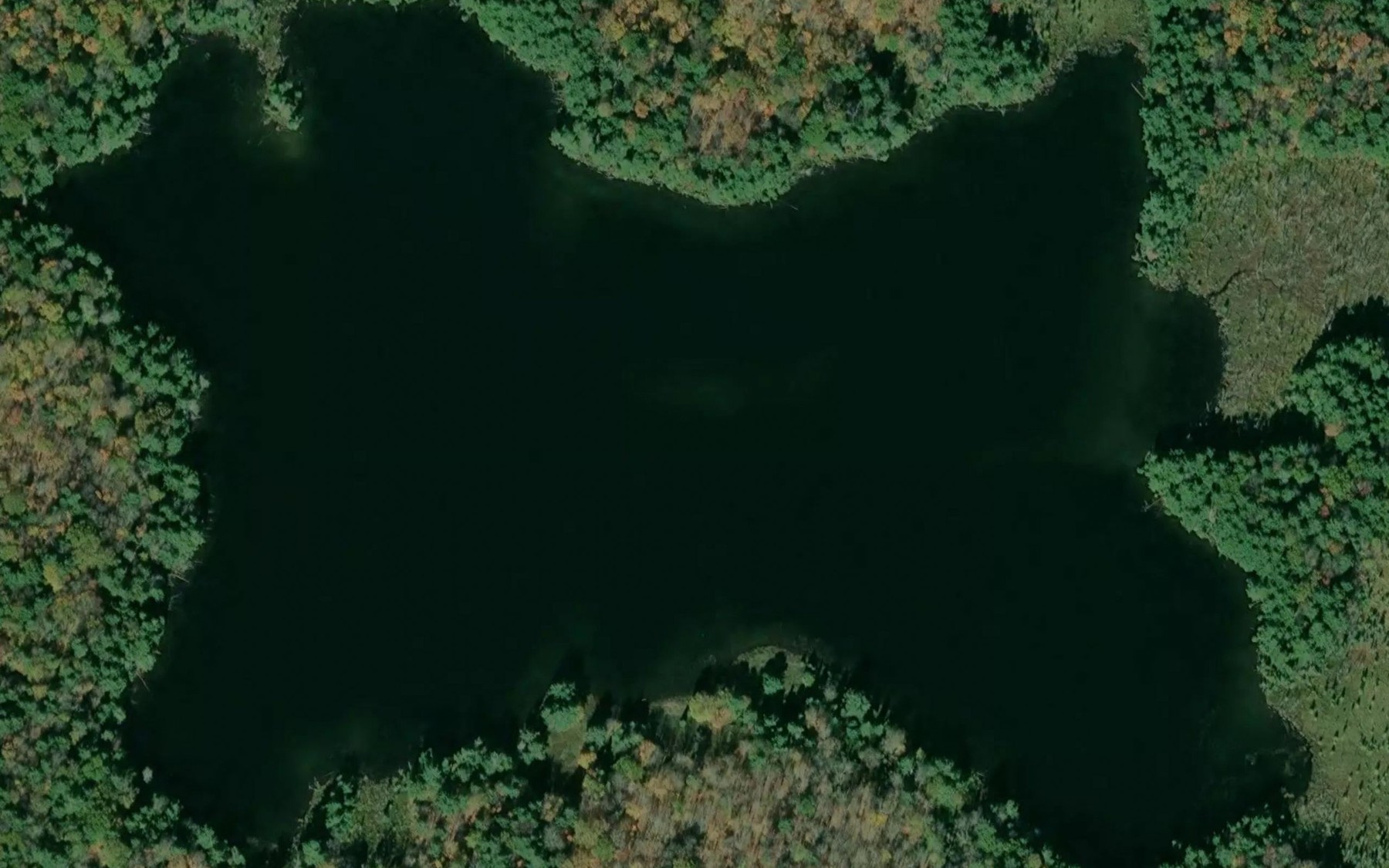 Satellite map of the Snap Jack Lake