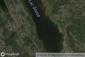 Lac Goose