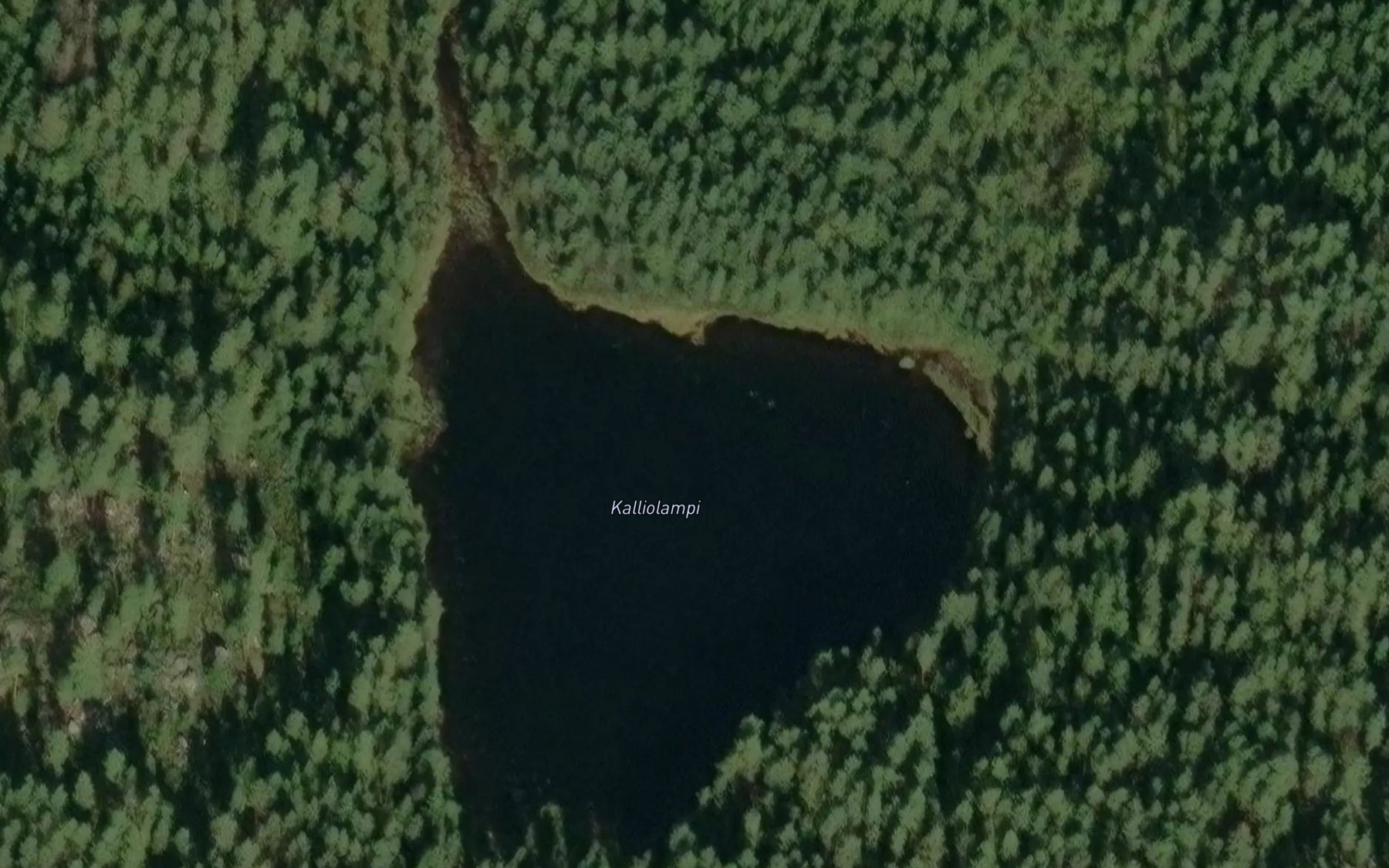 Satellite map of the Kalliolampi