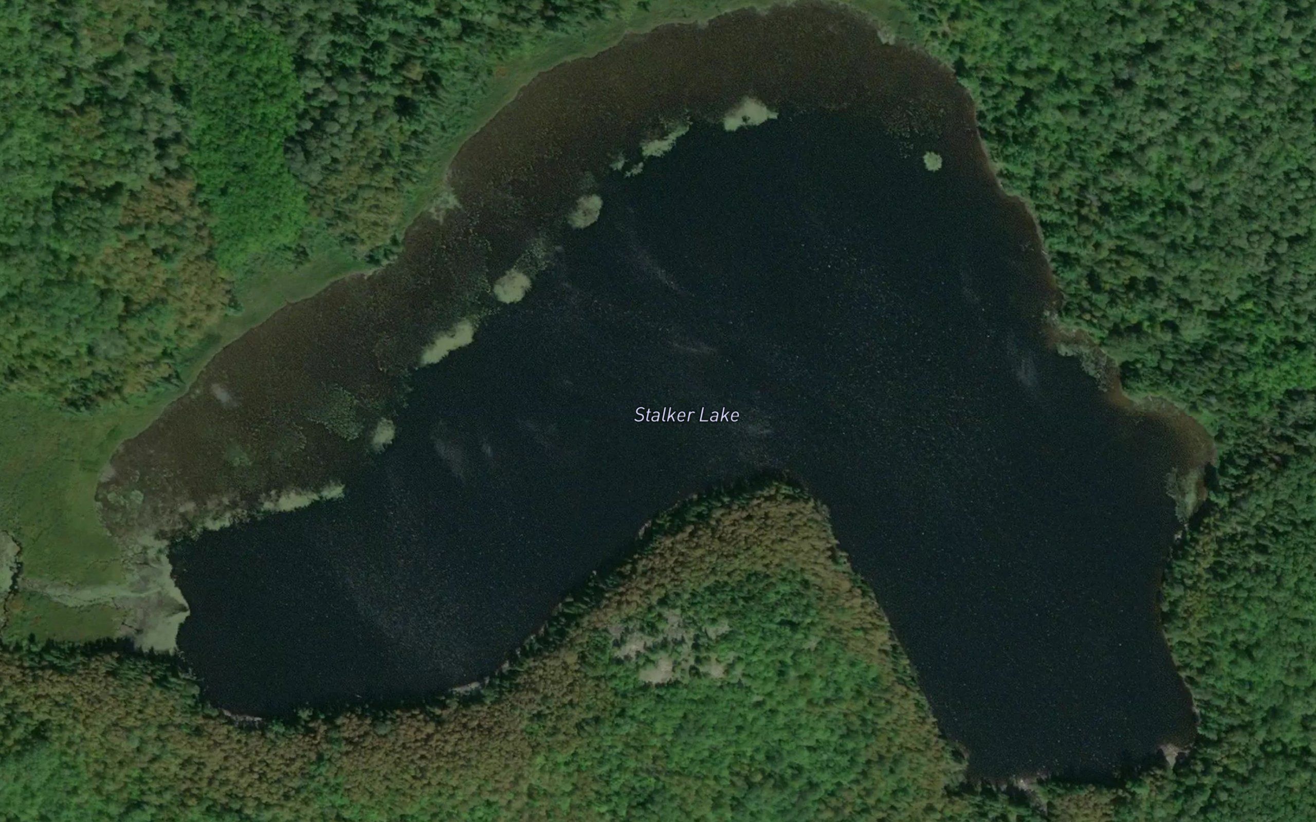 Stalker Lake