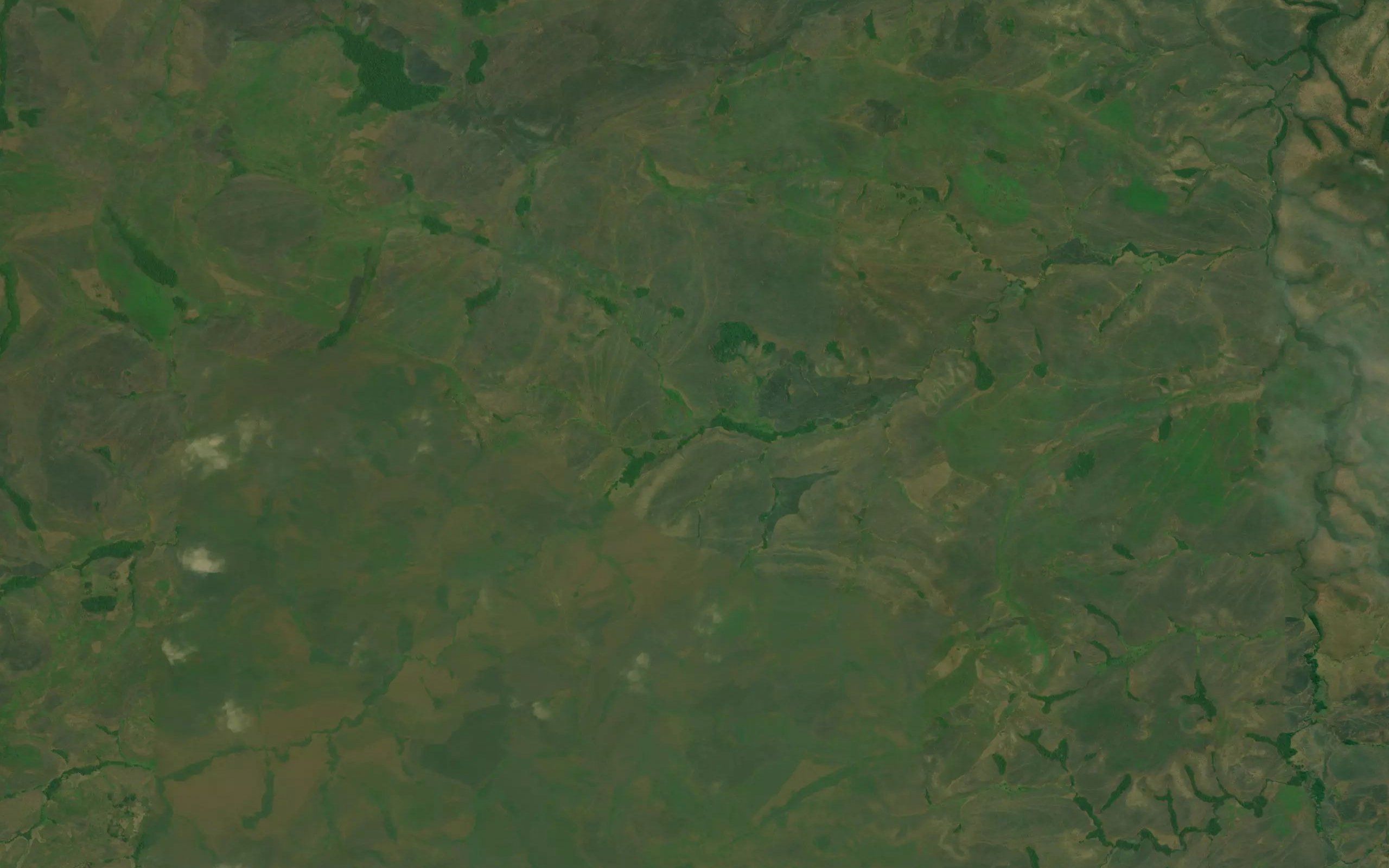 Toba