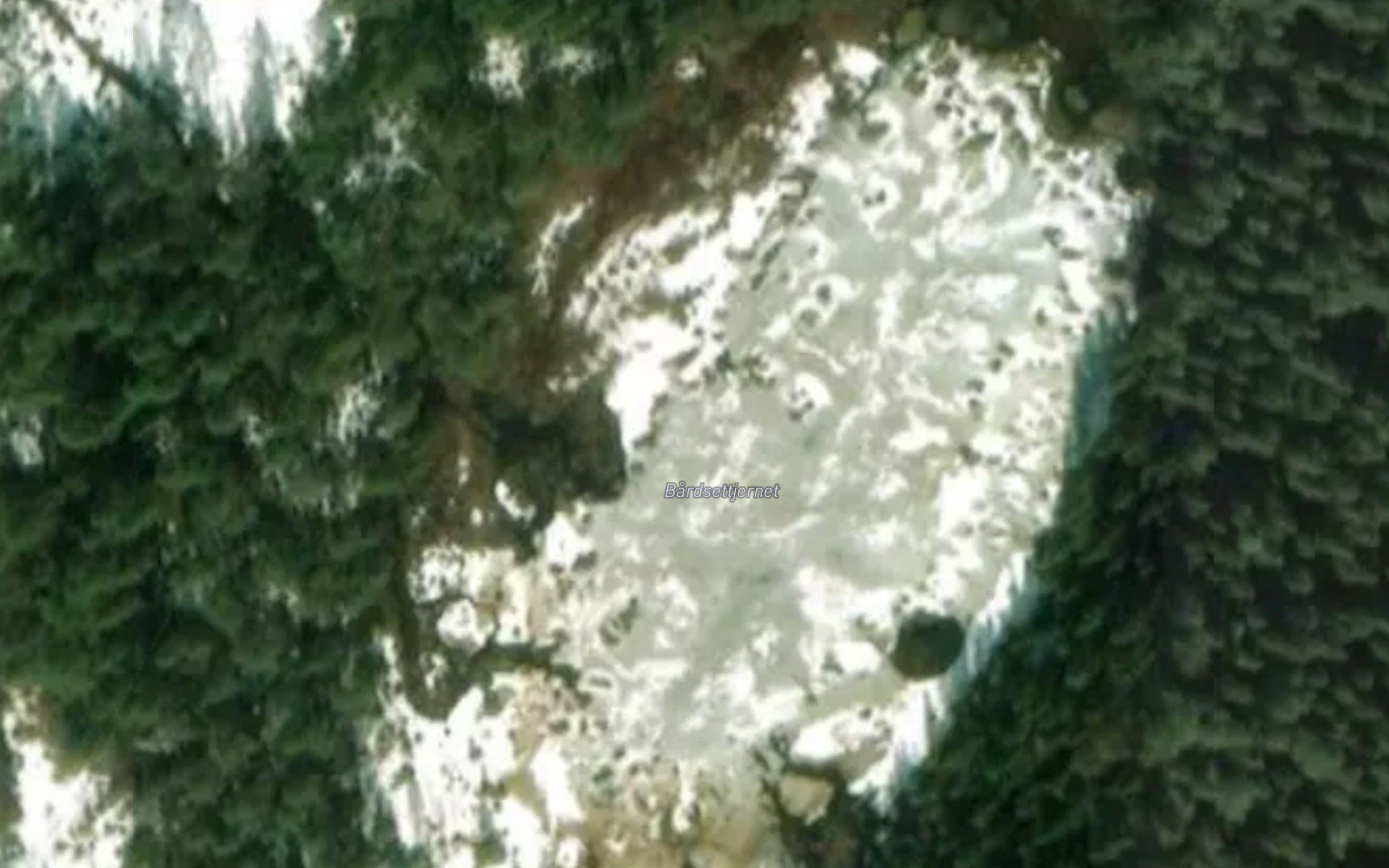 Bardsettjernet