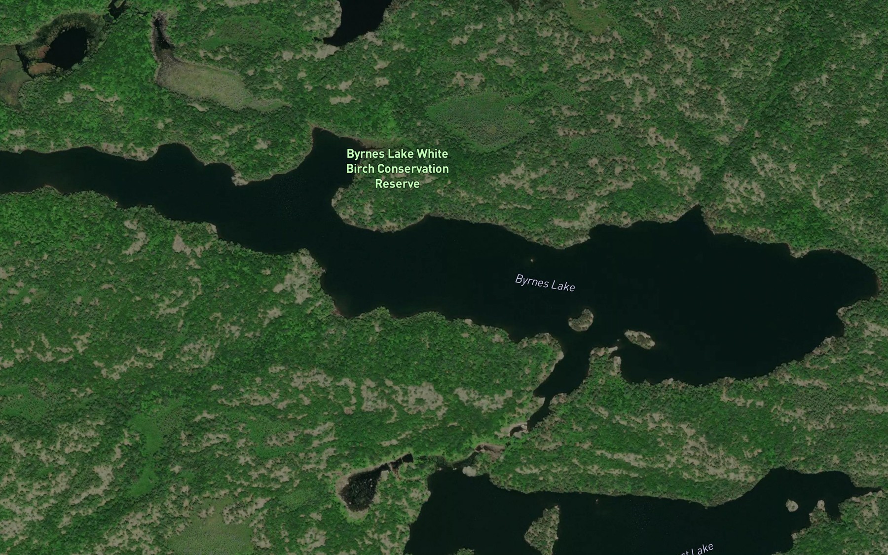 Satellite map of the Byrnes Lake