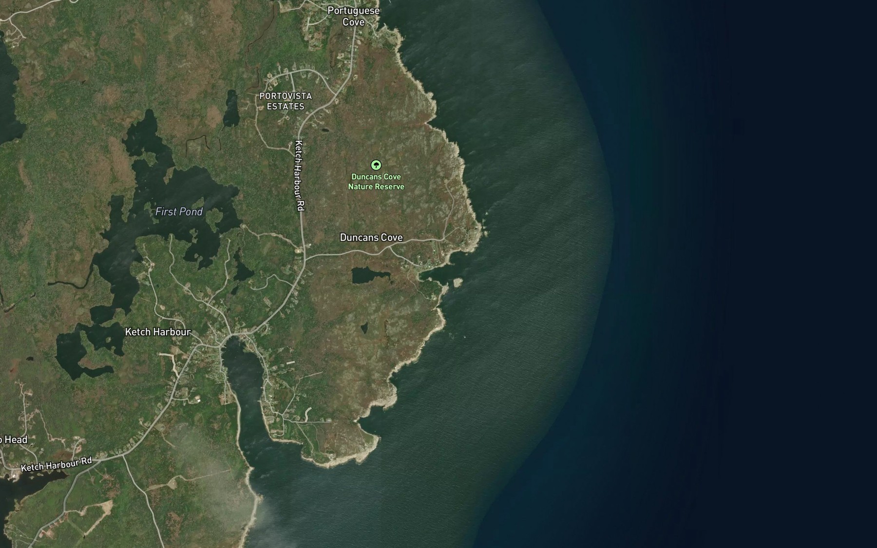 Satellite map of the Duncans Cove