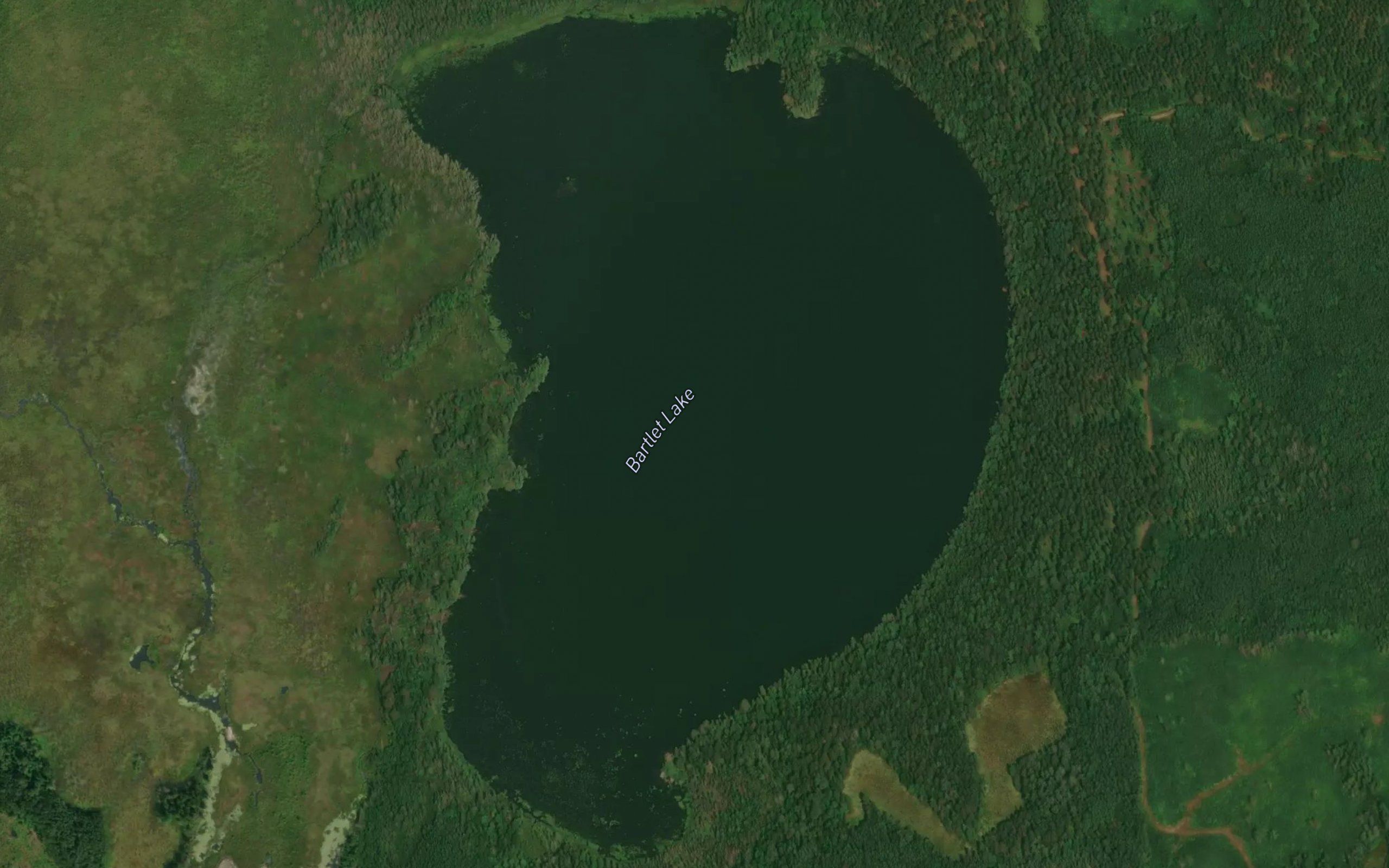 Bartlet Lake