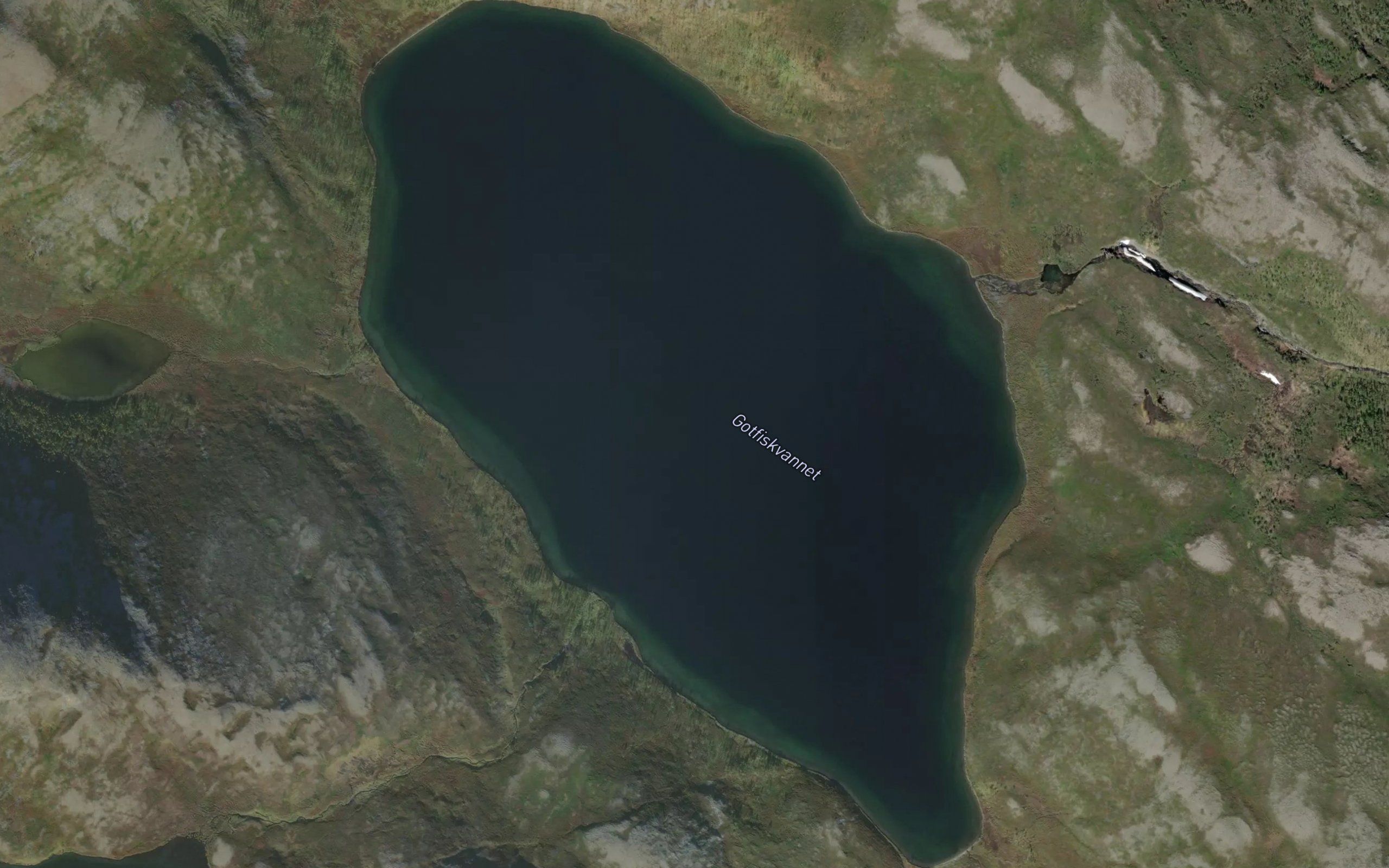 Gotfiskvannet