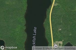 Jackfish Lake