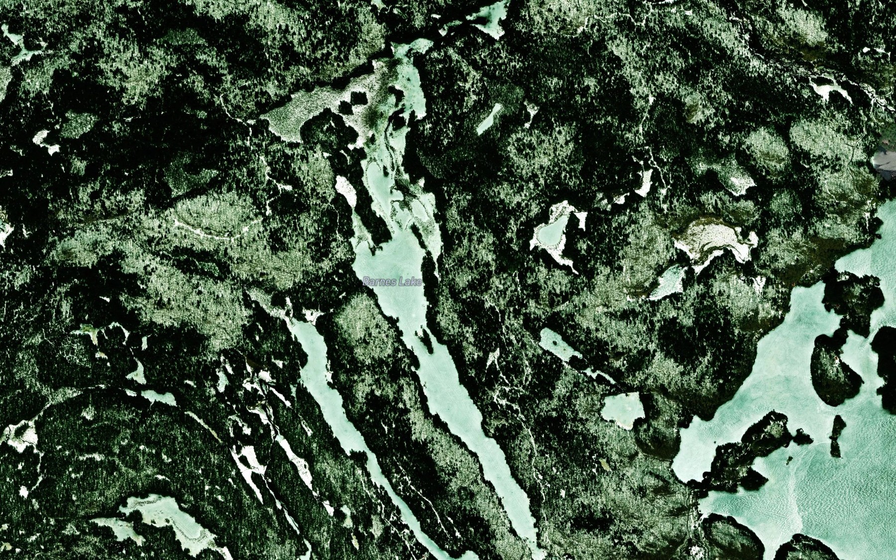 Satellite map of the Barnes Lake