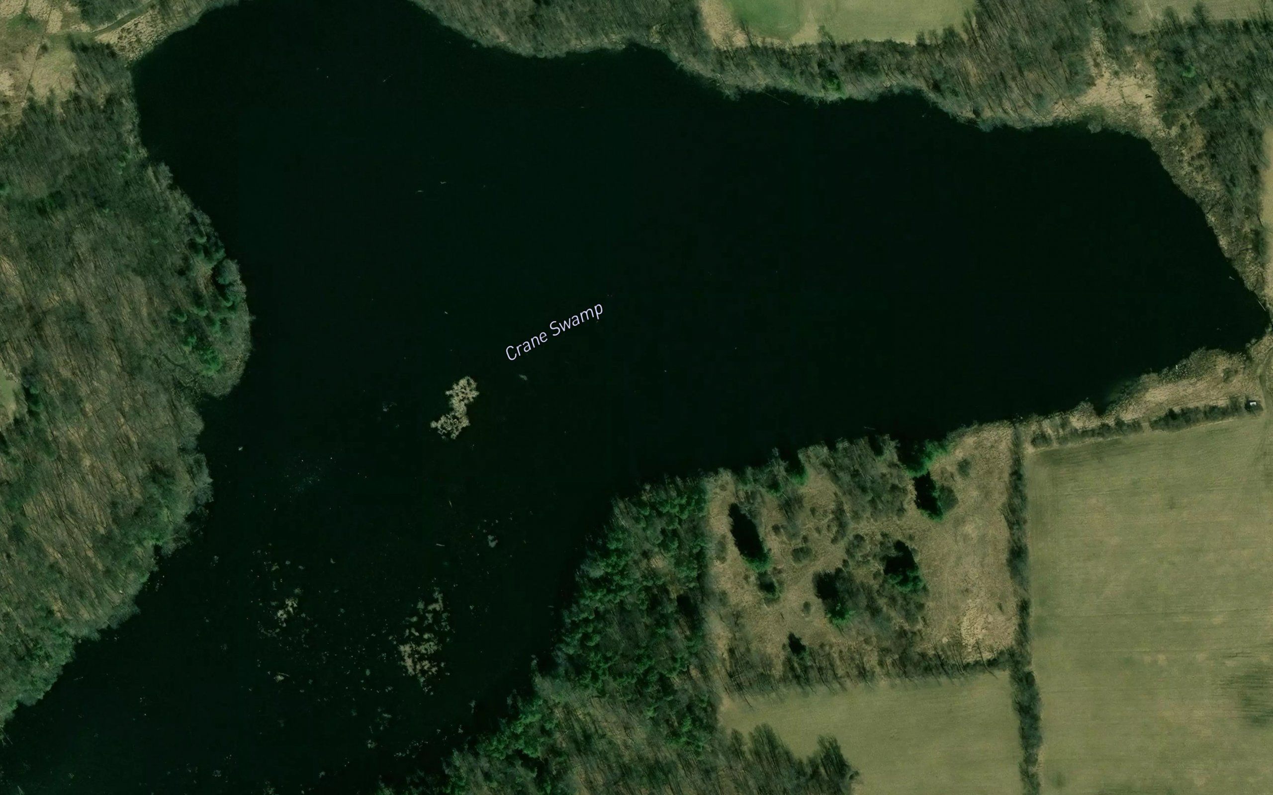 Crane Swamp