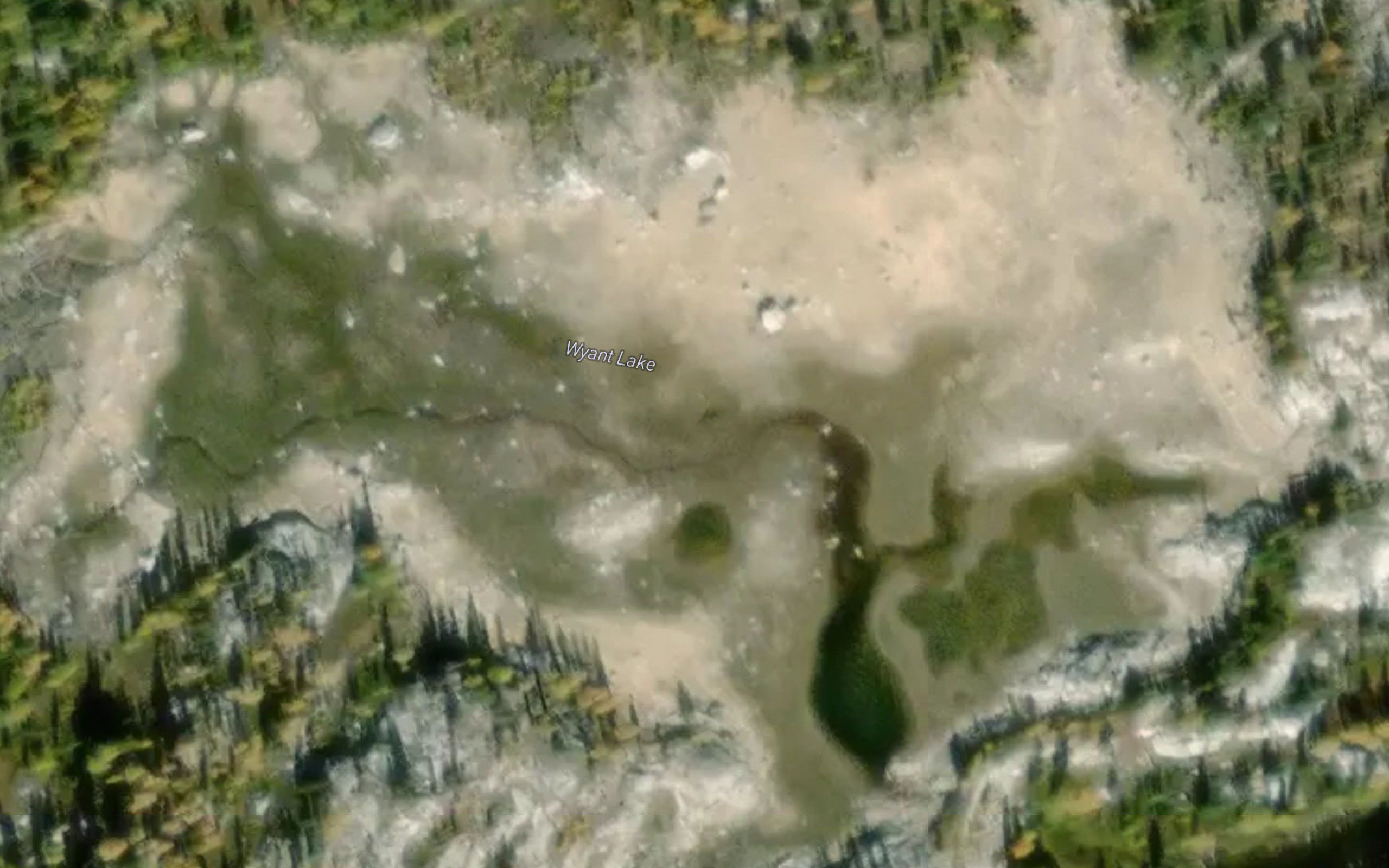 Wyant Lake