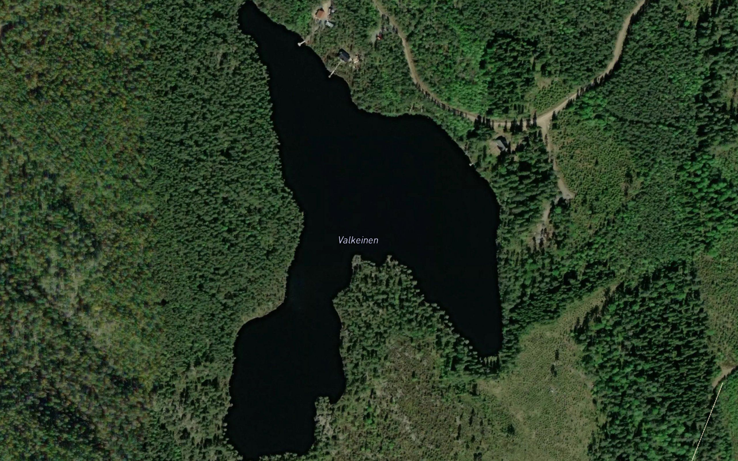 Valkeinen