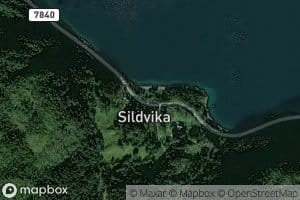 Sildvikelva