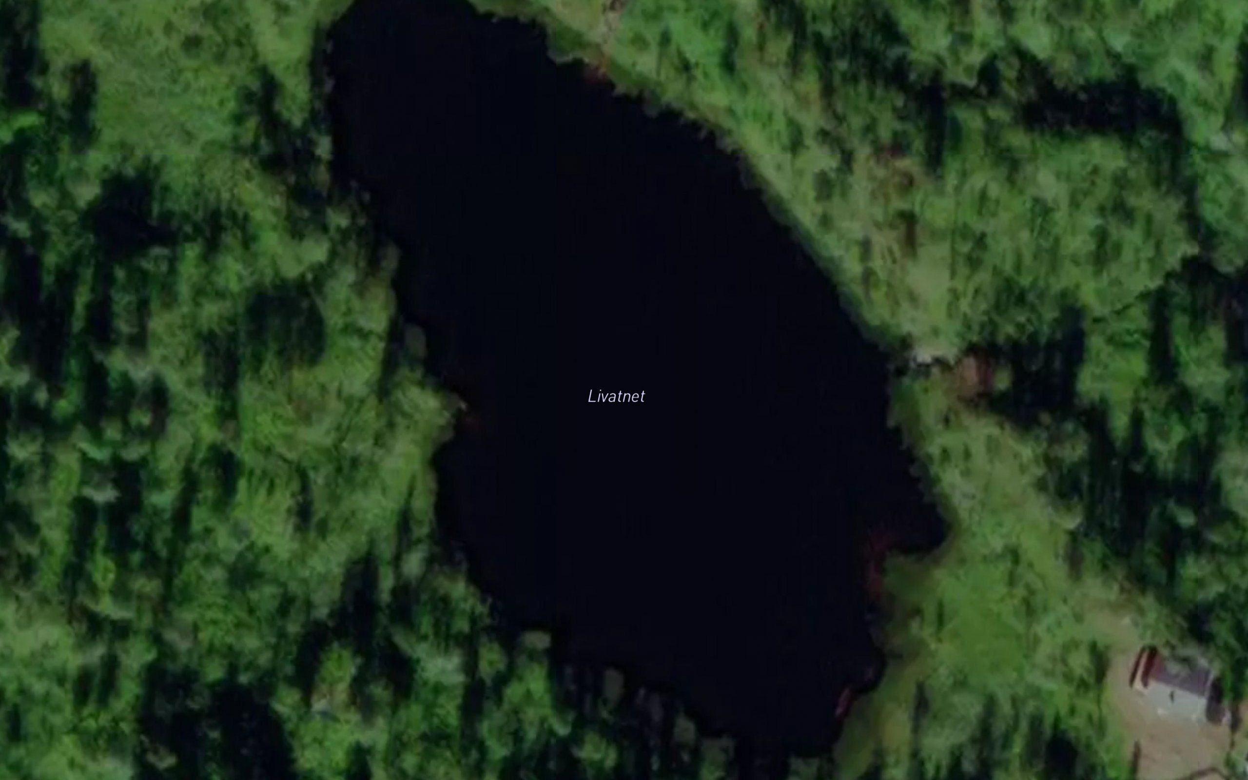 Livatnet
