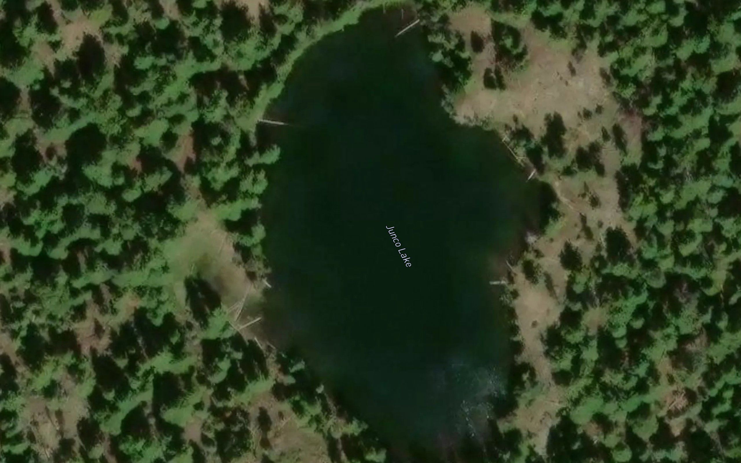 Junco Lake