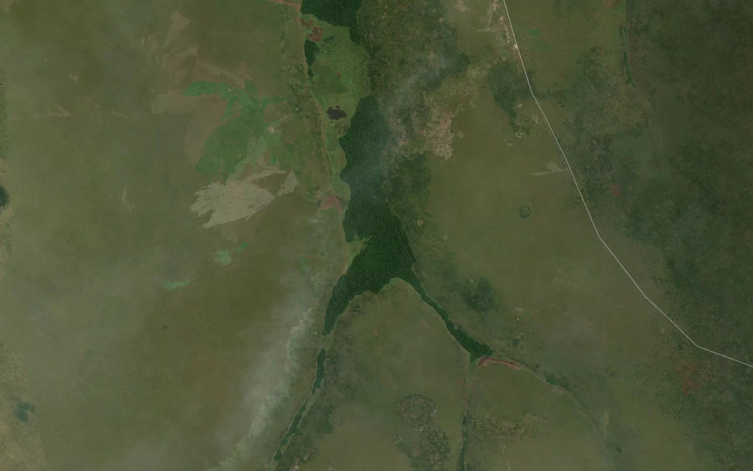 Kamigongo