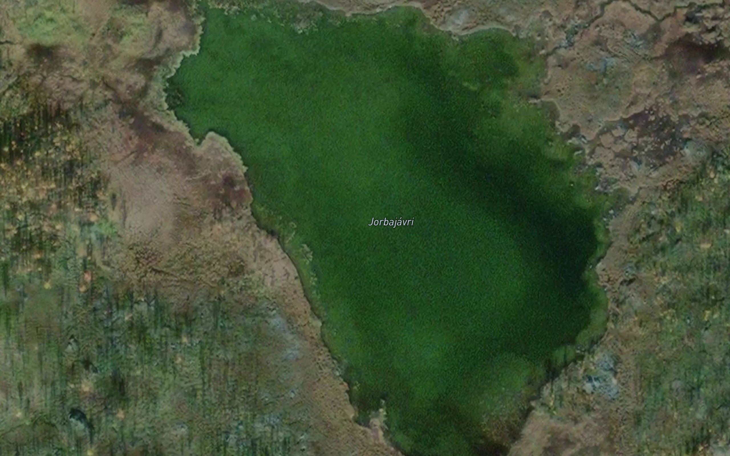 Jarbajavri