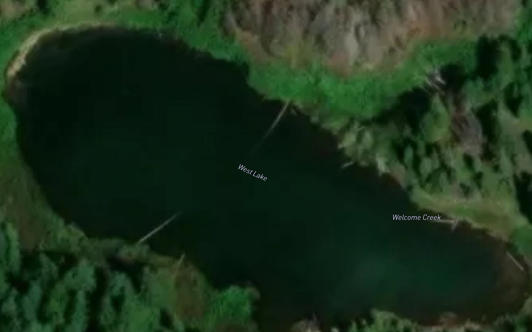 Satellite map of the West Lake