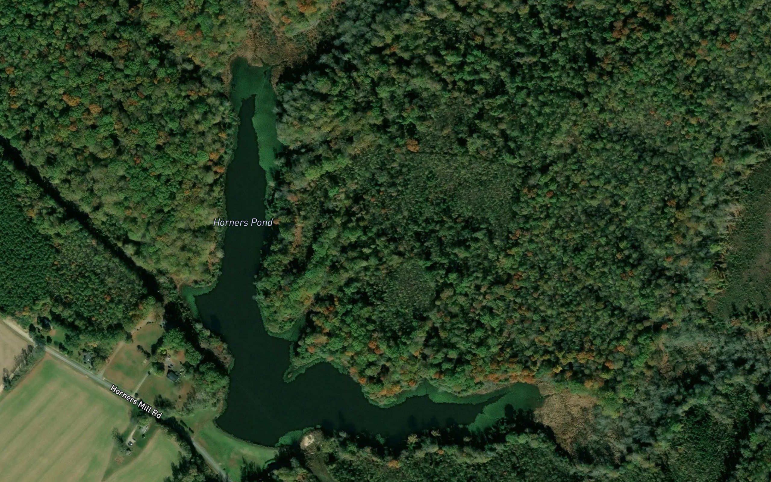 Horners Pond
