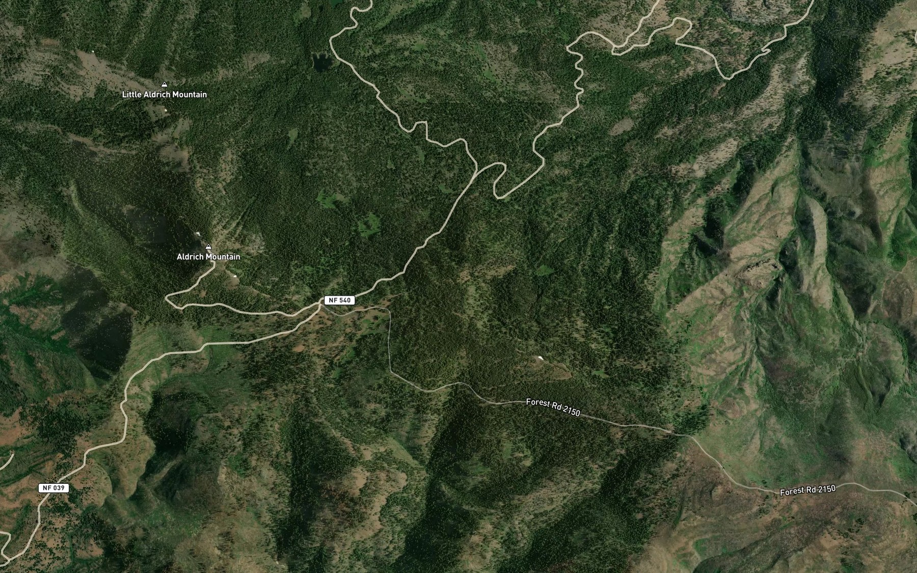 Satellite map of the Big Spring