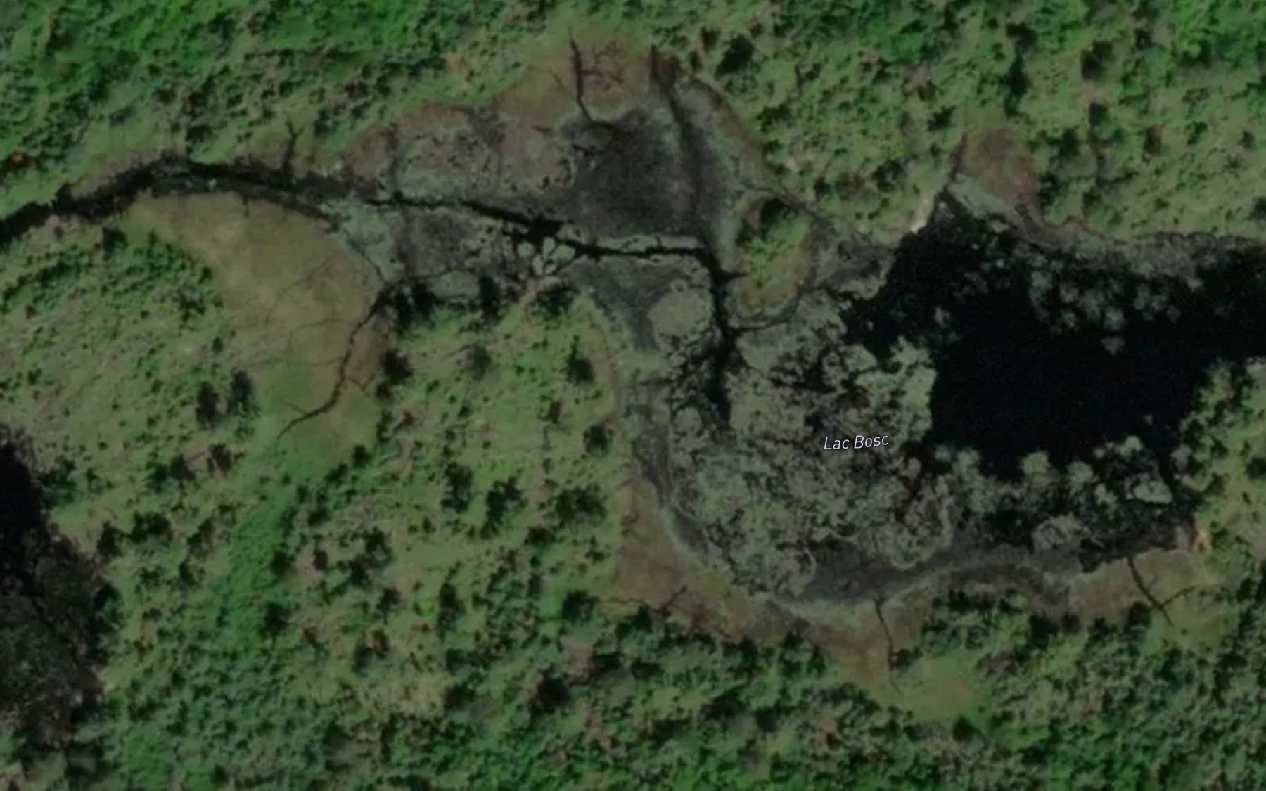 Satellite map of the Lac Bosc