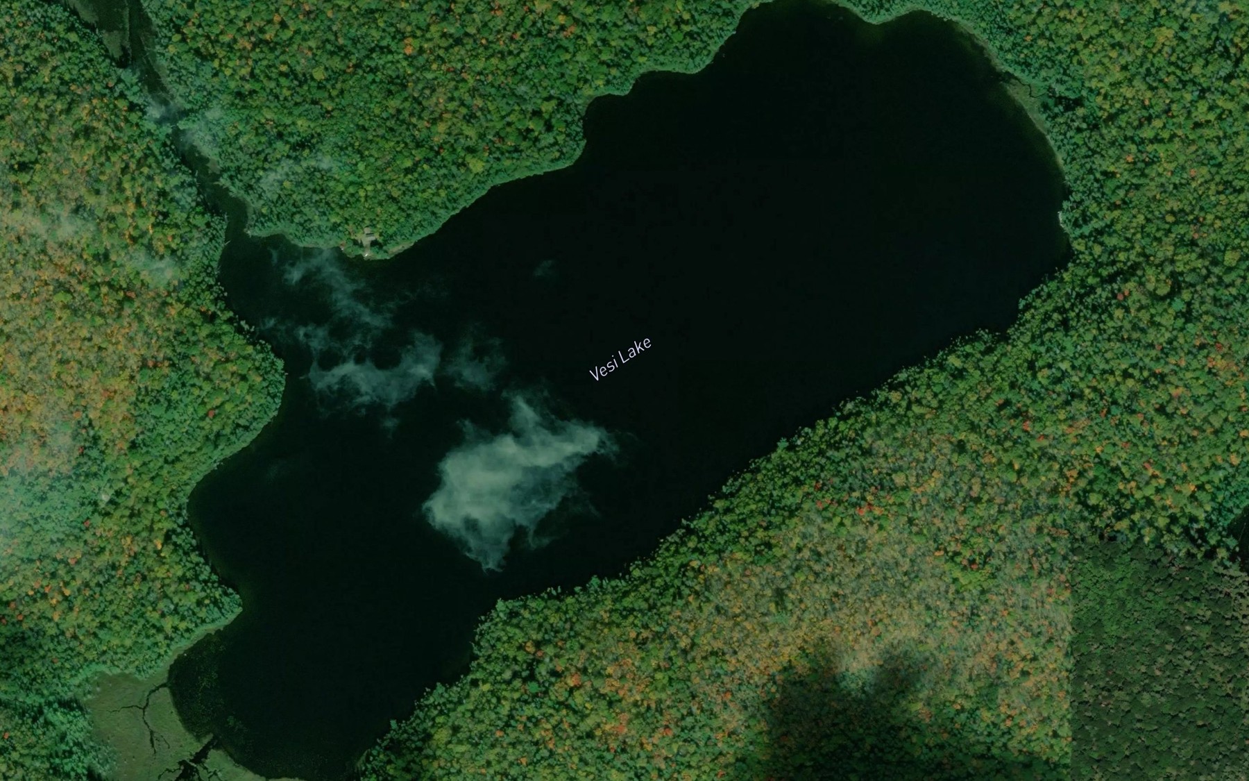 Satellite map of the Vesi Lake