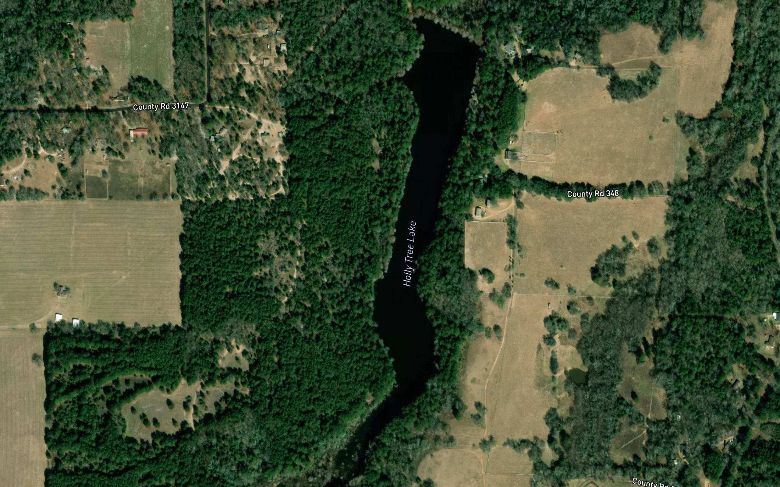 Holly Tree Lake
