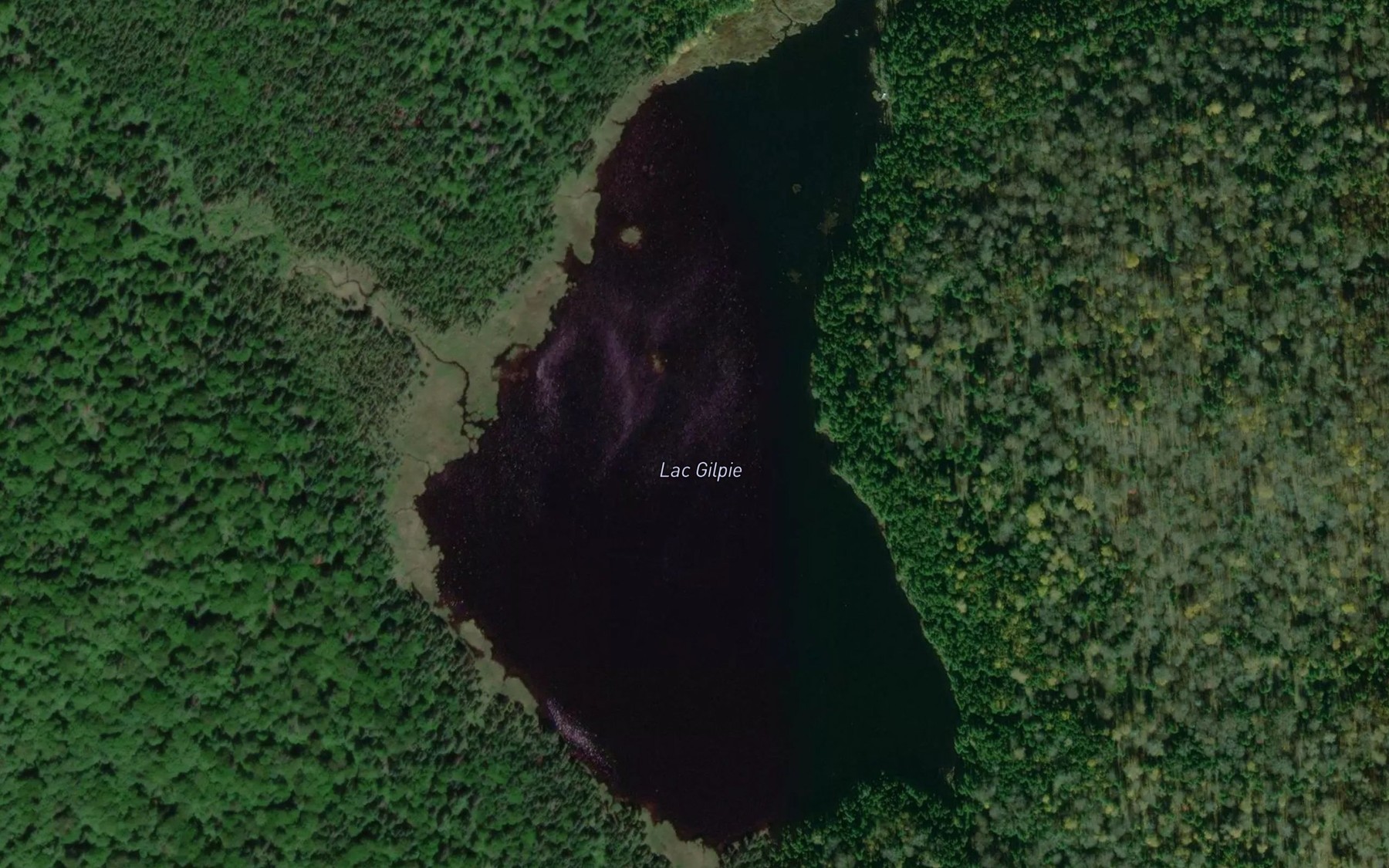 Satellite map of the Lac Gilpie
