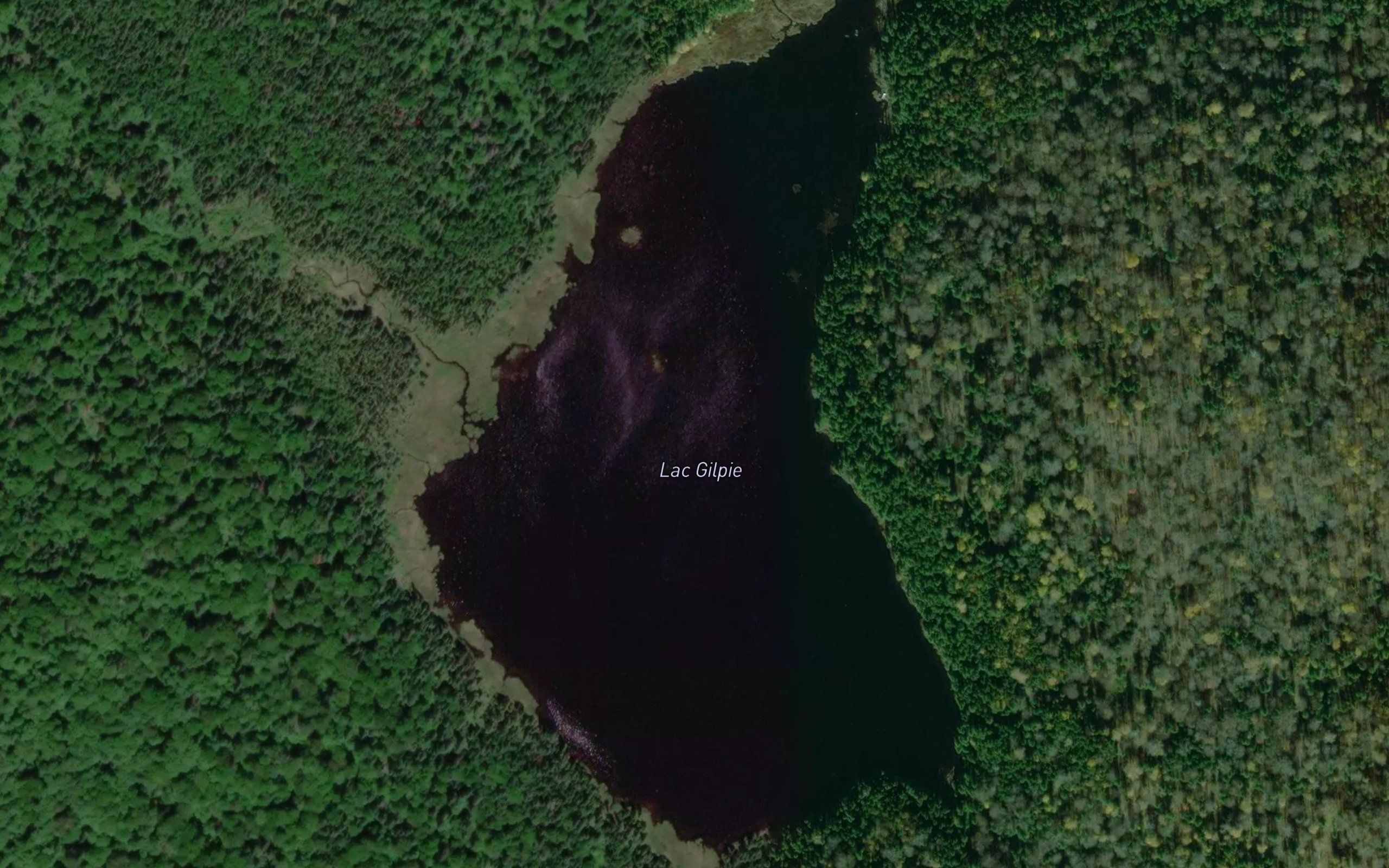 Lac Gilpie