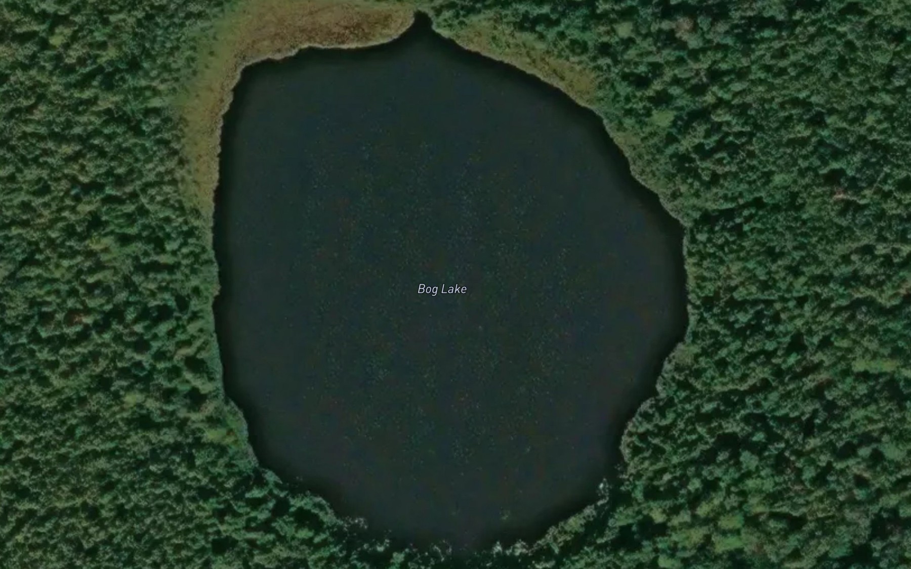Satellite map of the Bog Lake