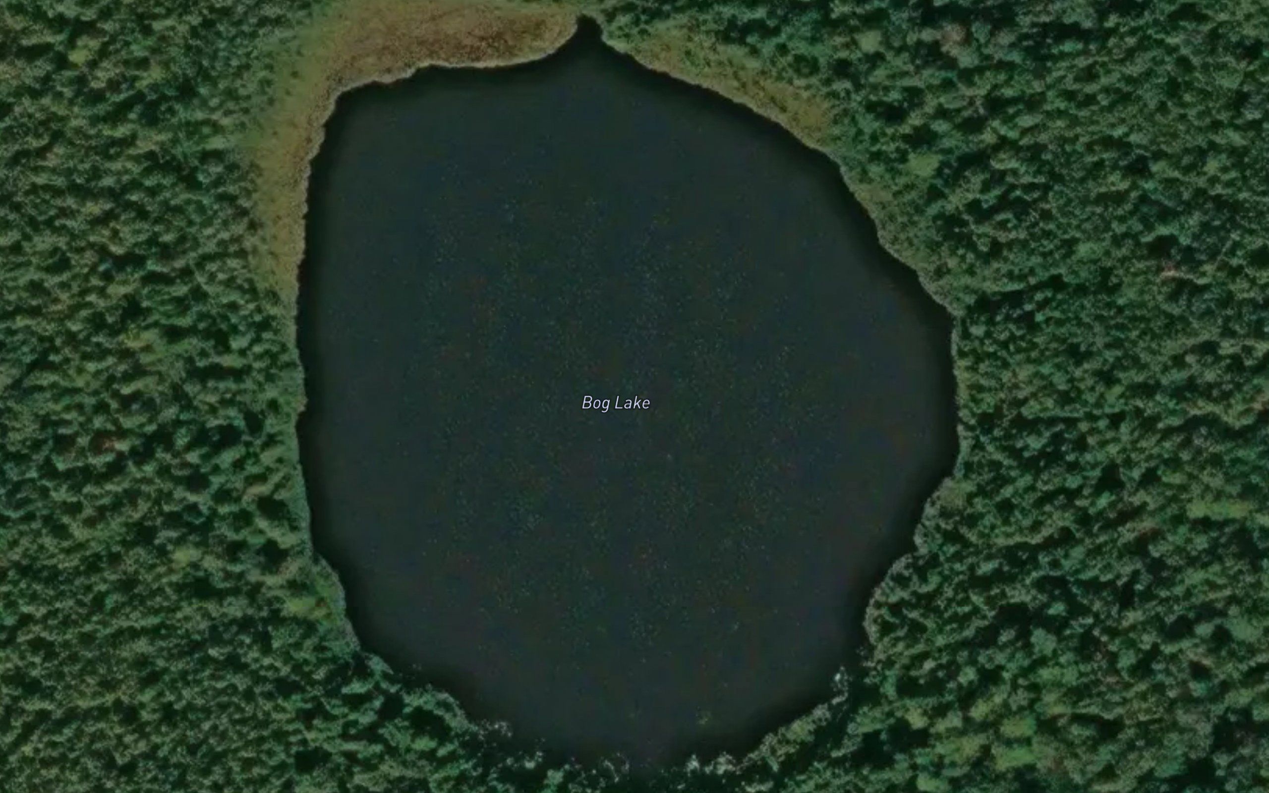Bog Lake