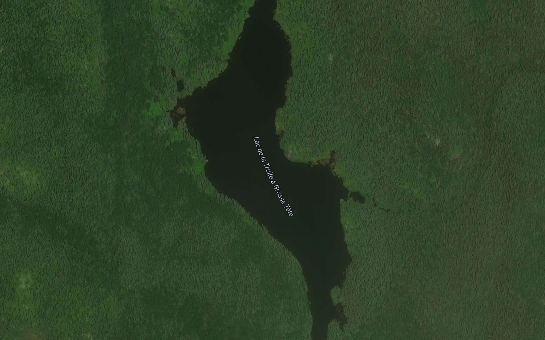 Satellite map of the Lac de la Truite a Grosse Tete
