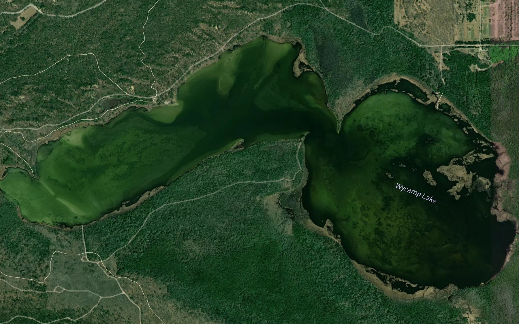 Satellite map of the Wycamp Lake