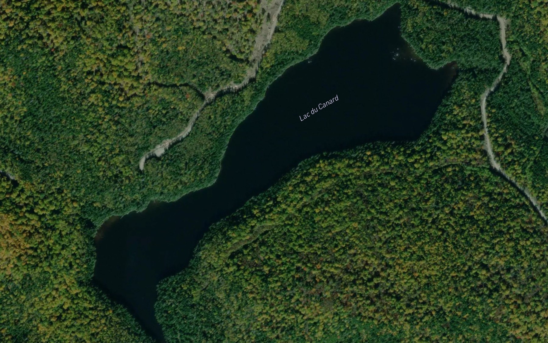 Satellite map of the Lac du Canard