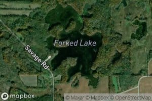 Forked Lake