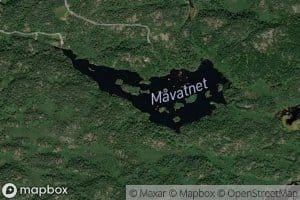 Mavatnet